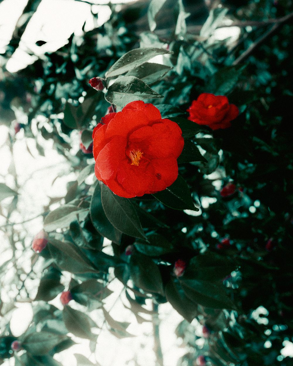 A decorative image from Usal Project
