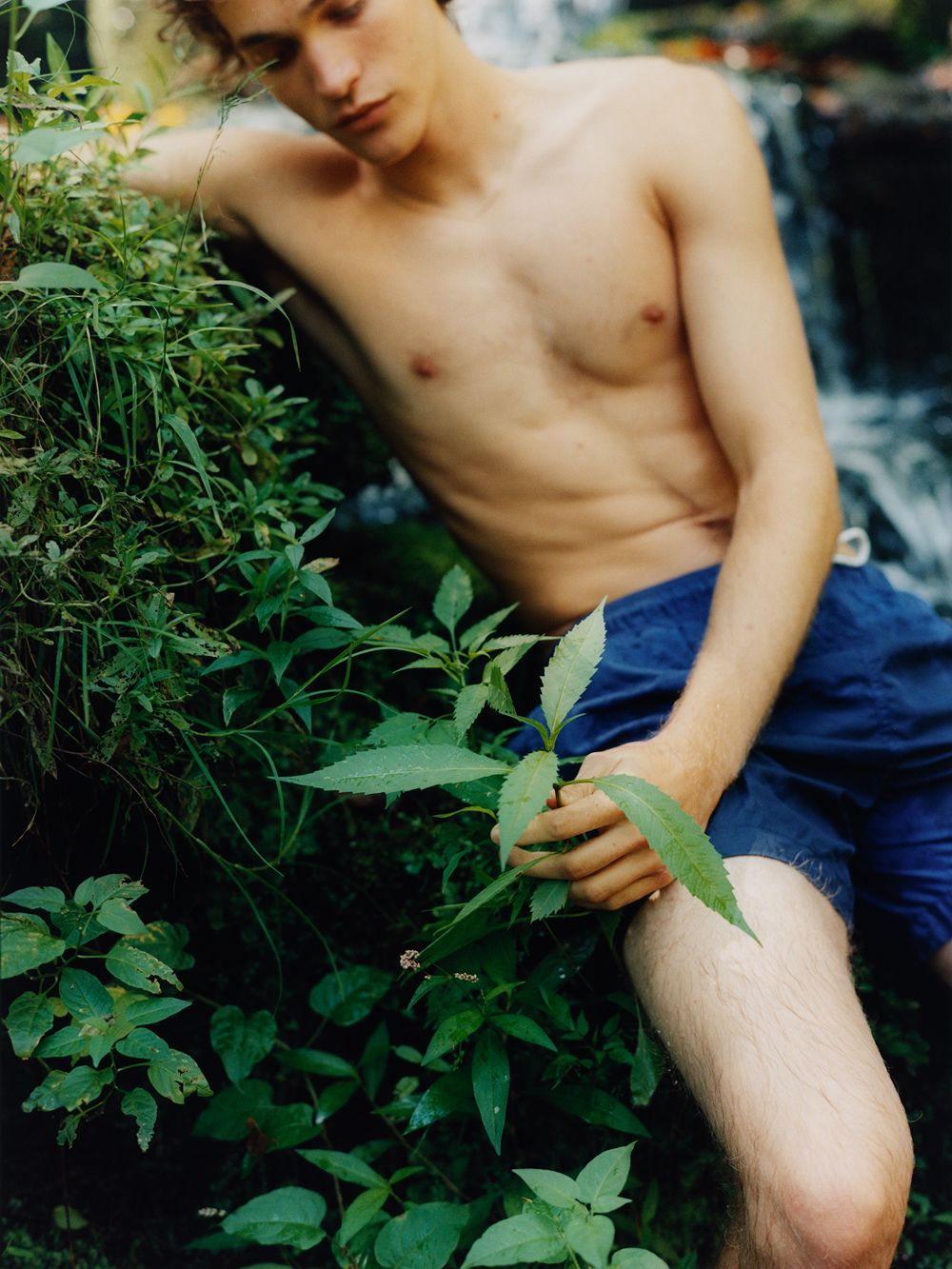 A decorative image from Usal Project