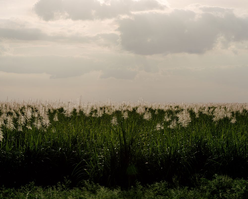 A decorative image from Usal Project