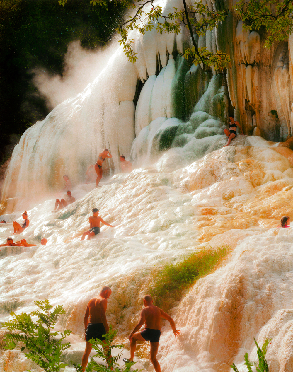 A decorative image from Usal Project