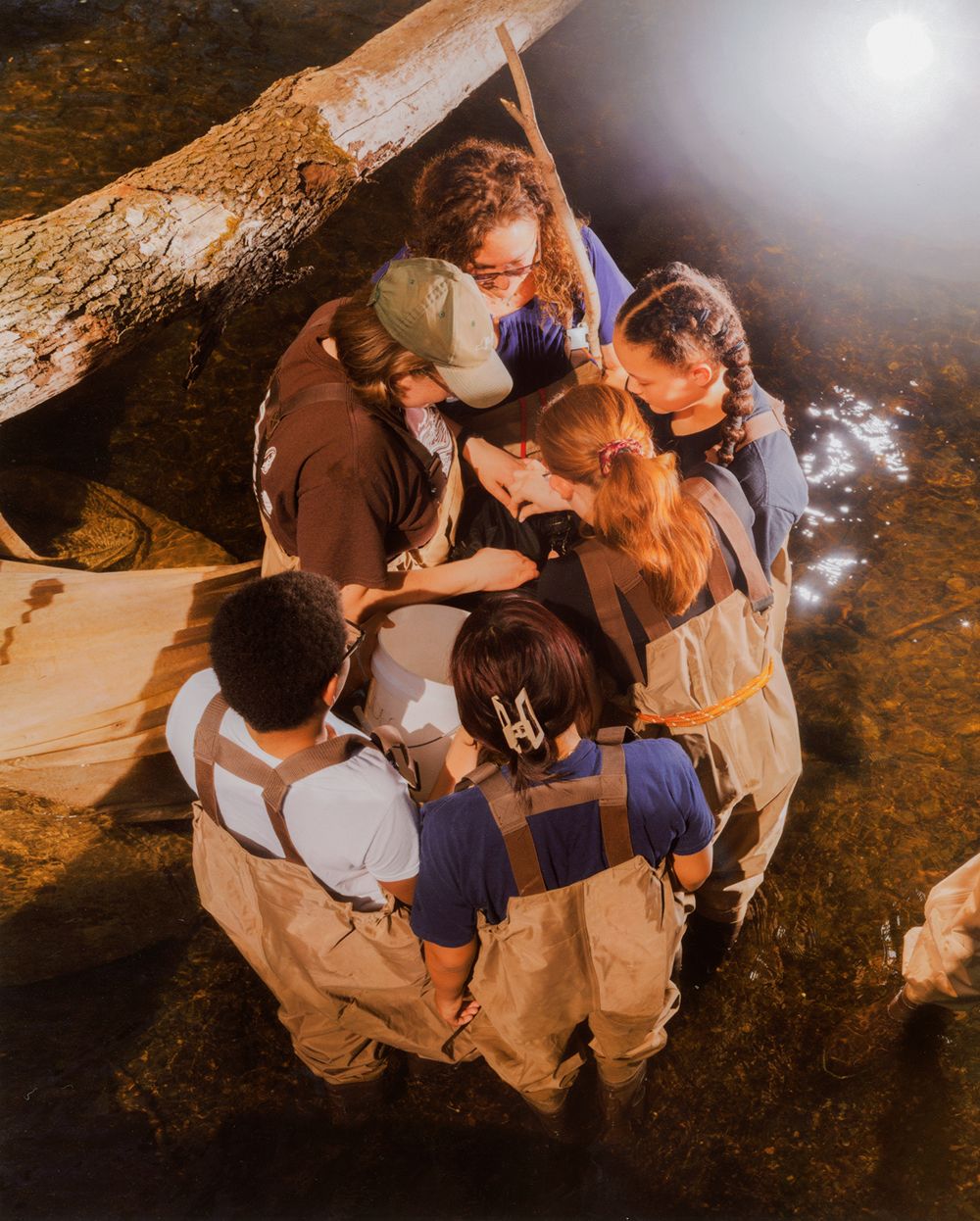 A decorative image from Usal Project