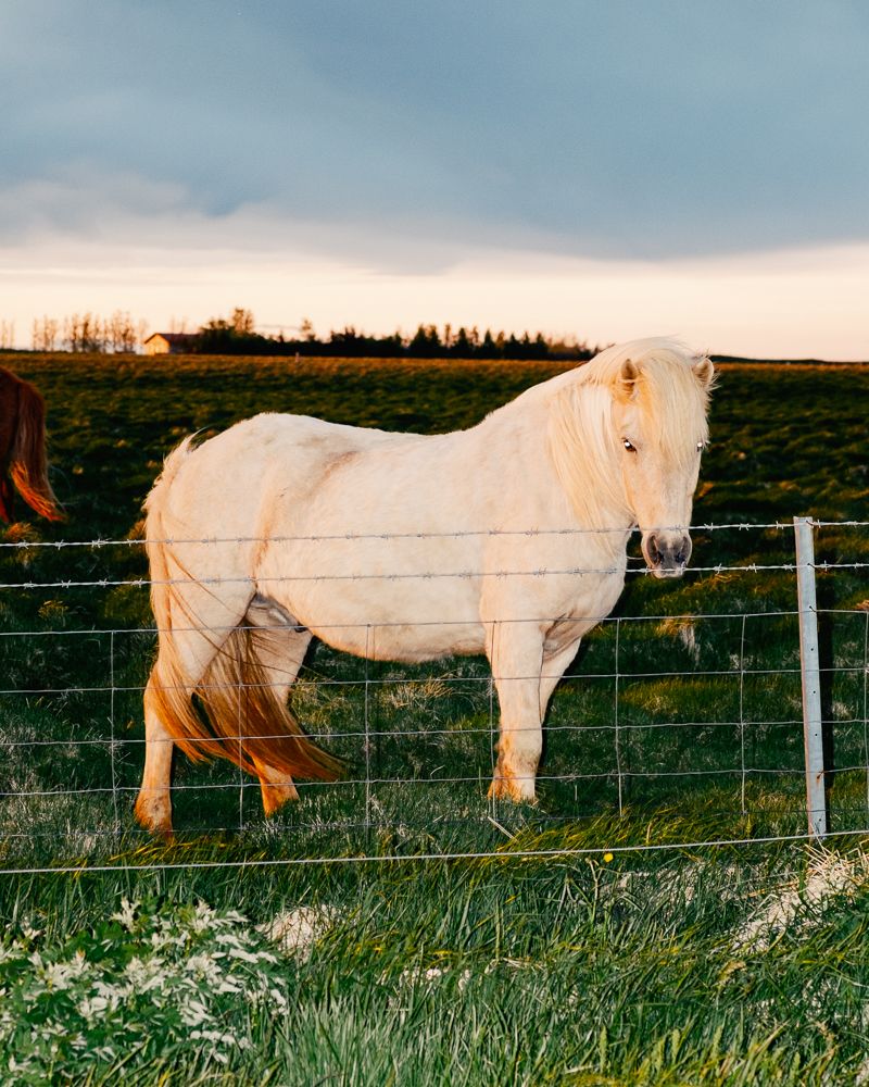 A decorative image from Usal Project