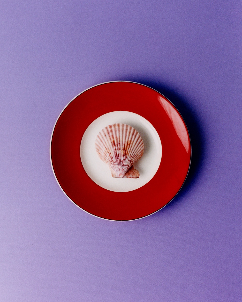A decorative image from Usal Project