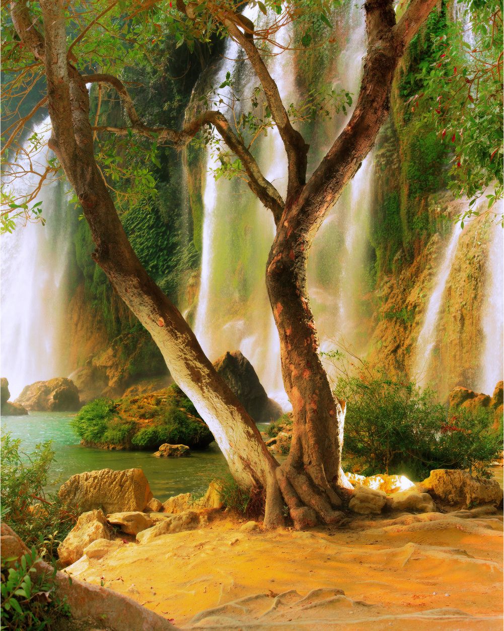 A decorative image from Usal Project