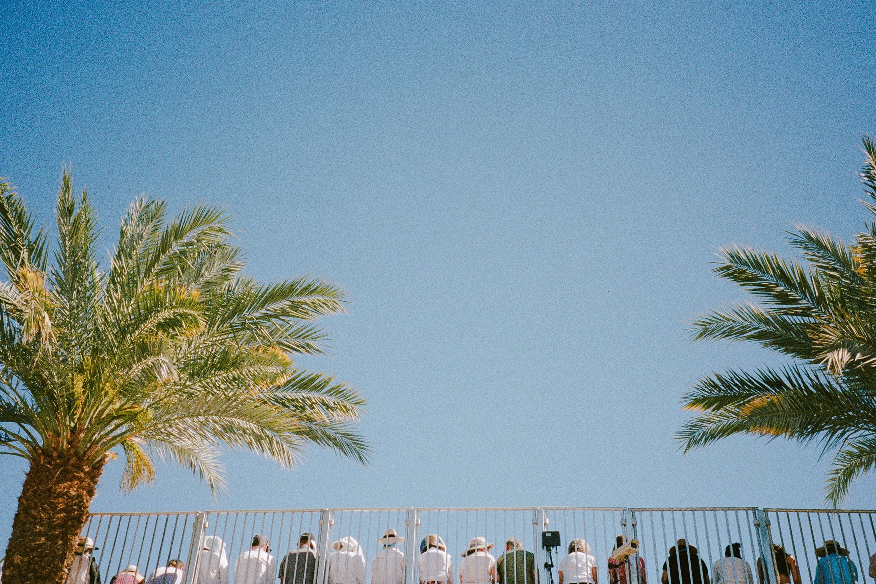 A decorative image from Usal Project