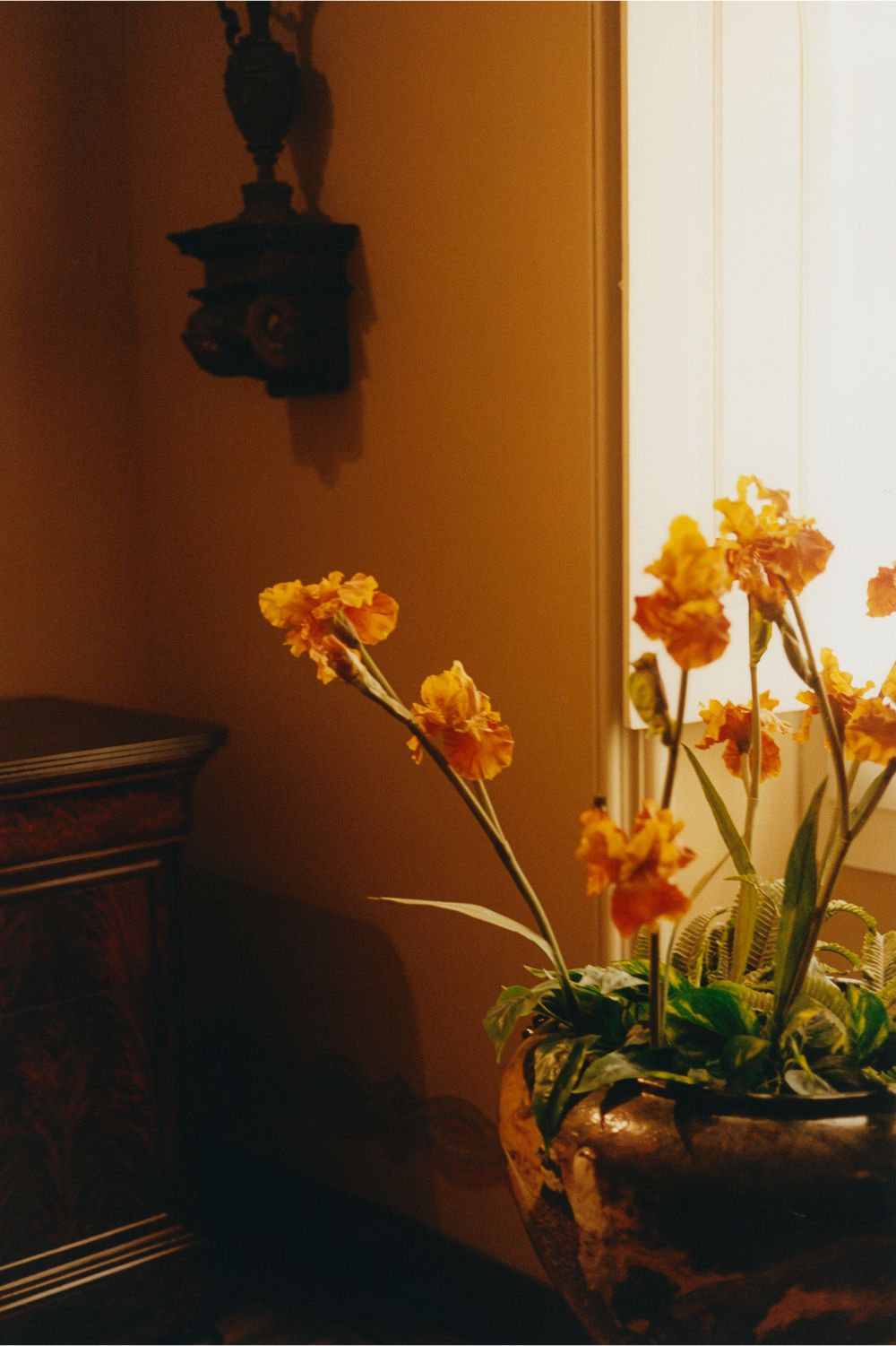 A decorative image from Usal Project