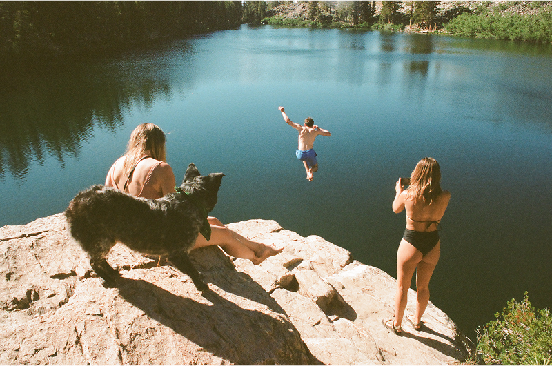 A decorative image from Usal Project