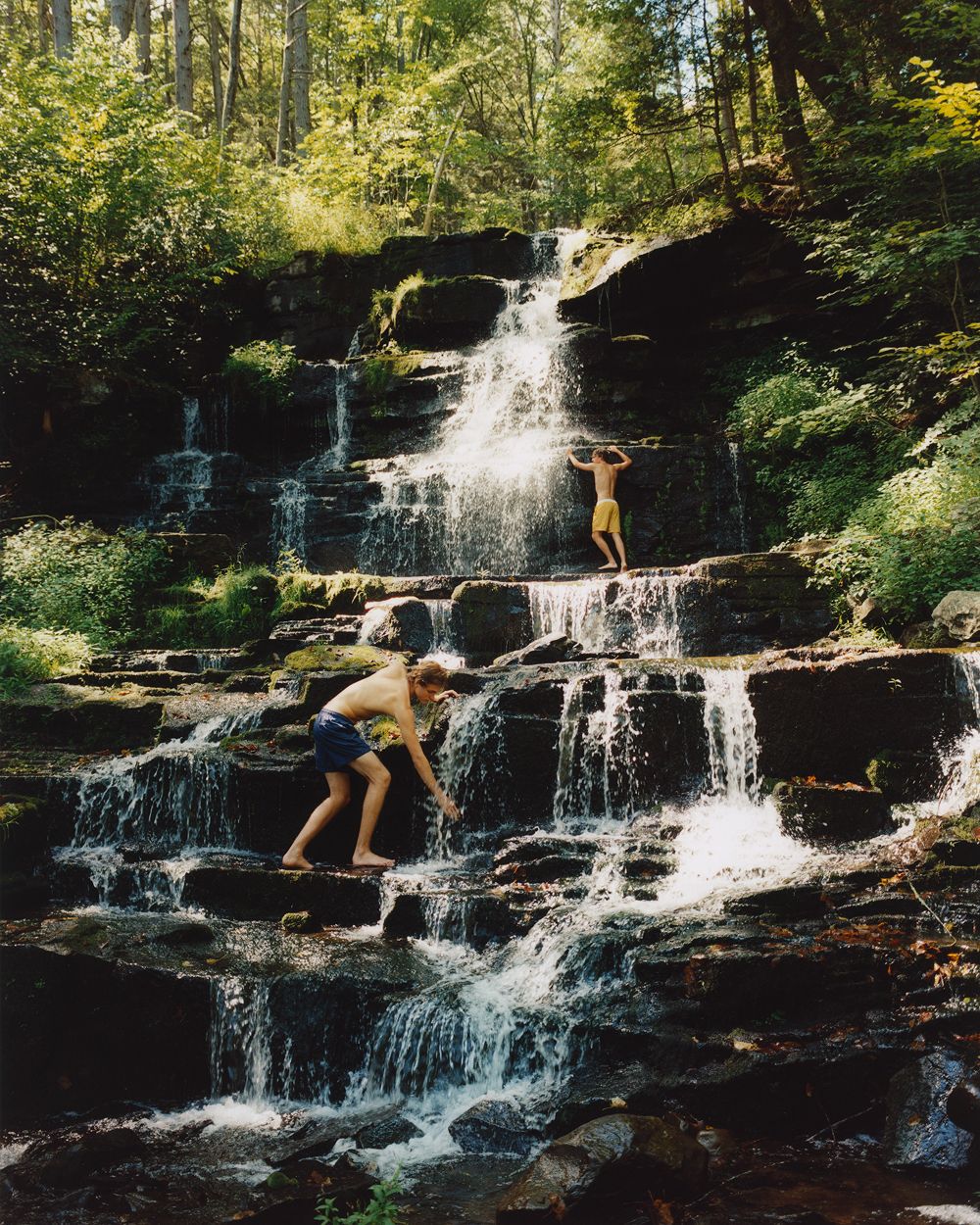 A decorative image from Usal Project