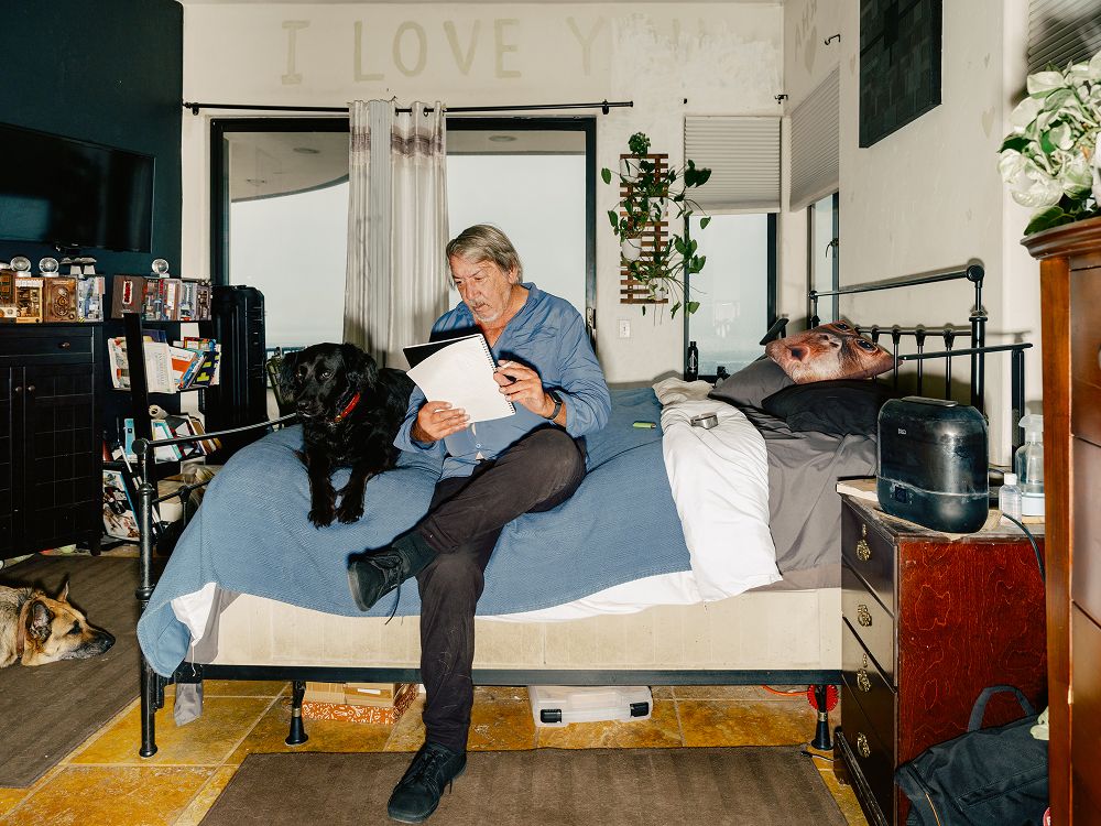 Will Wright for NY Mag - A decorative image from Usal Project