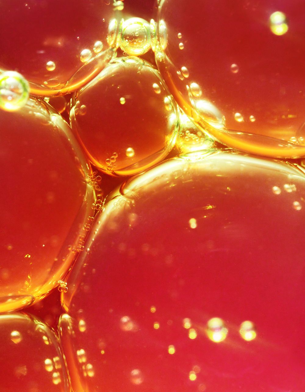 A decorative image from Usal Project