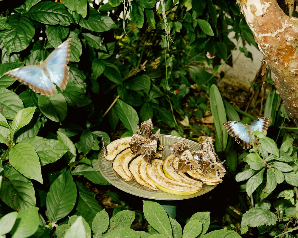 A decorative image from Usal Project