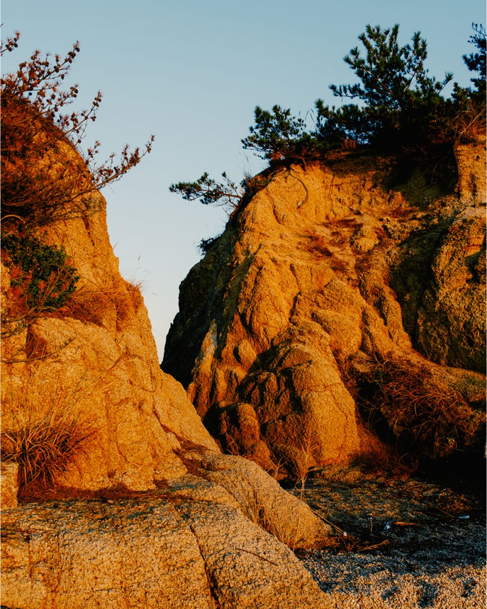 A decorative image from Usal Project