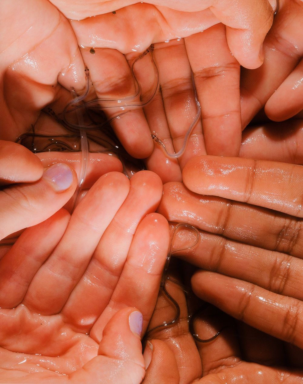 A decorative image from Usal Project