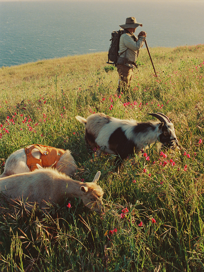 A decorative image from Usal Project