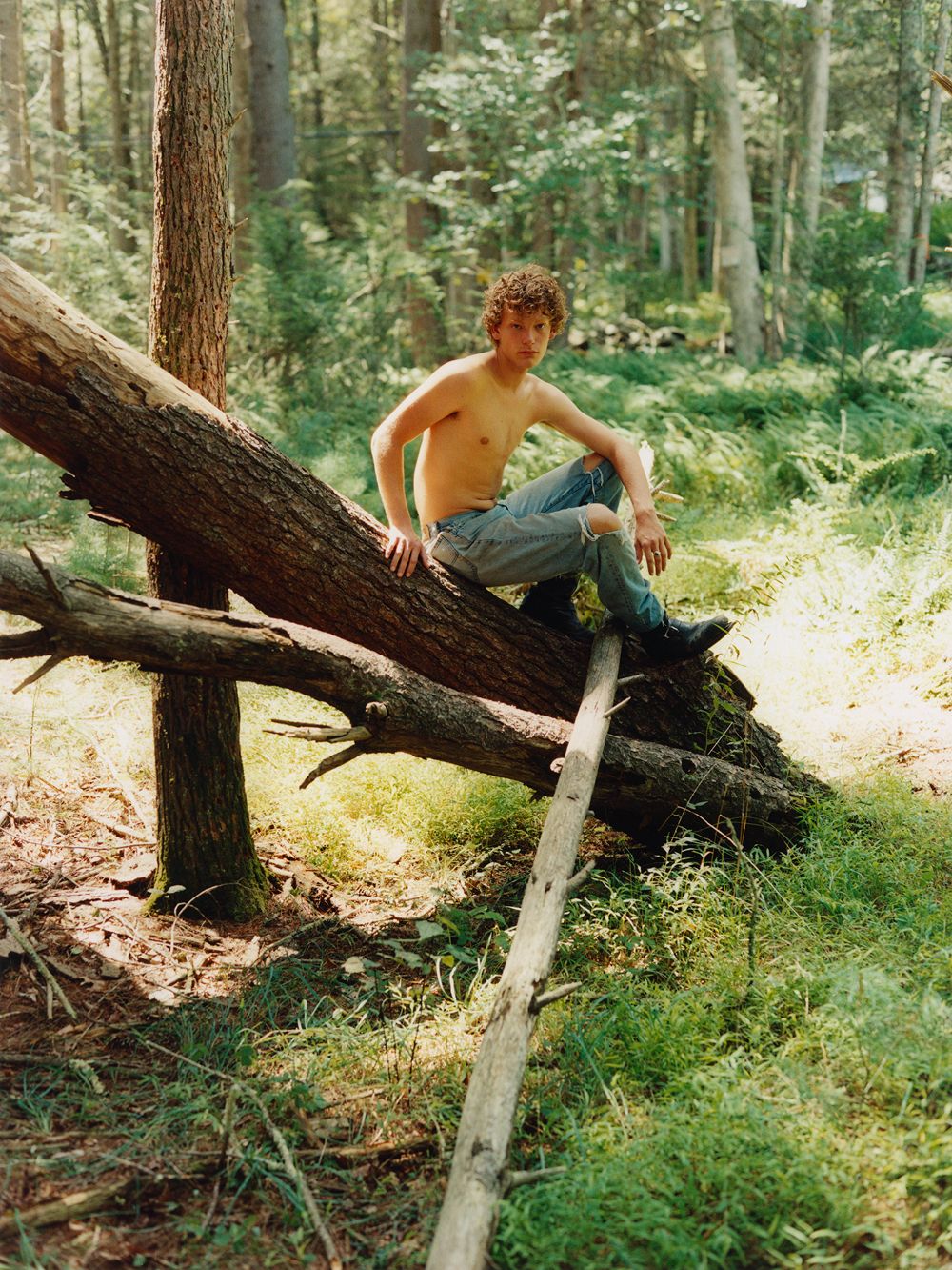 A decorative image from Usal Project