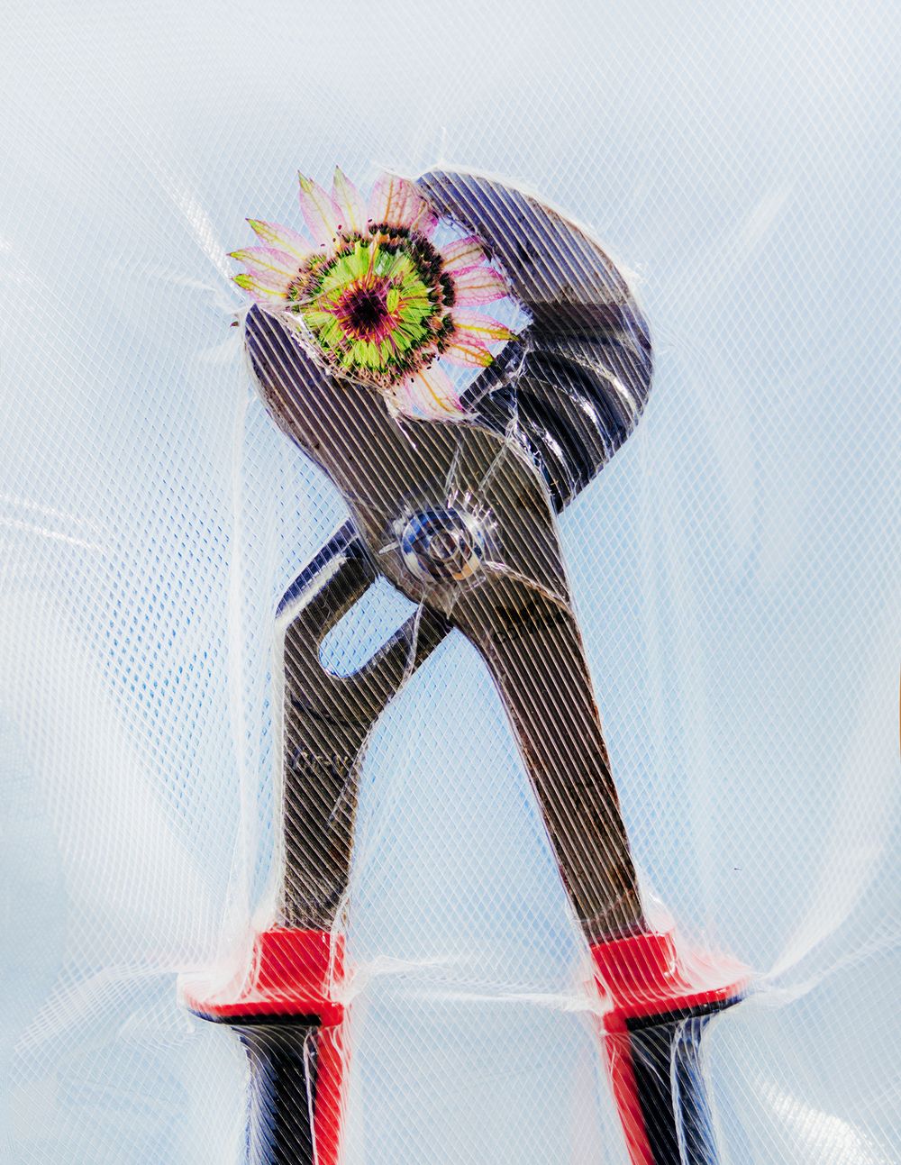 A decorative image from Usal Project