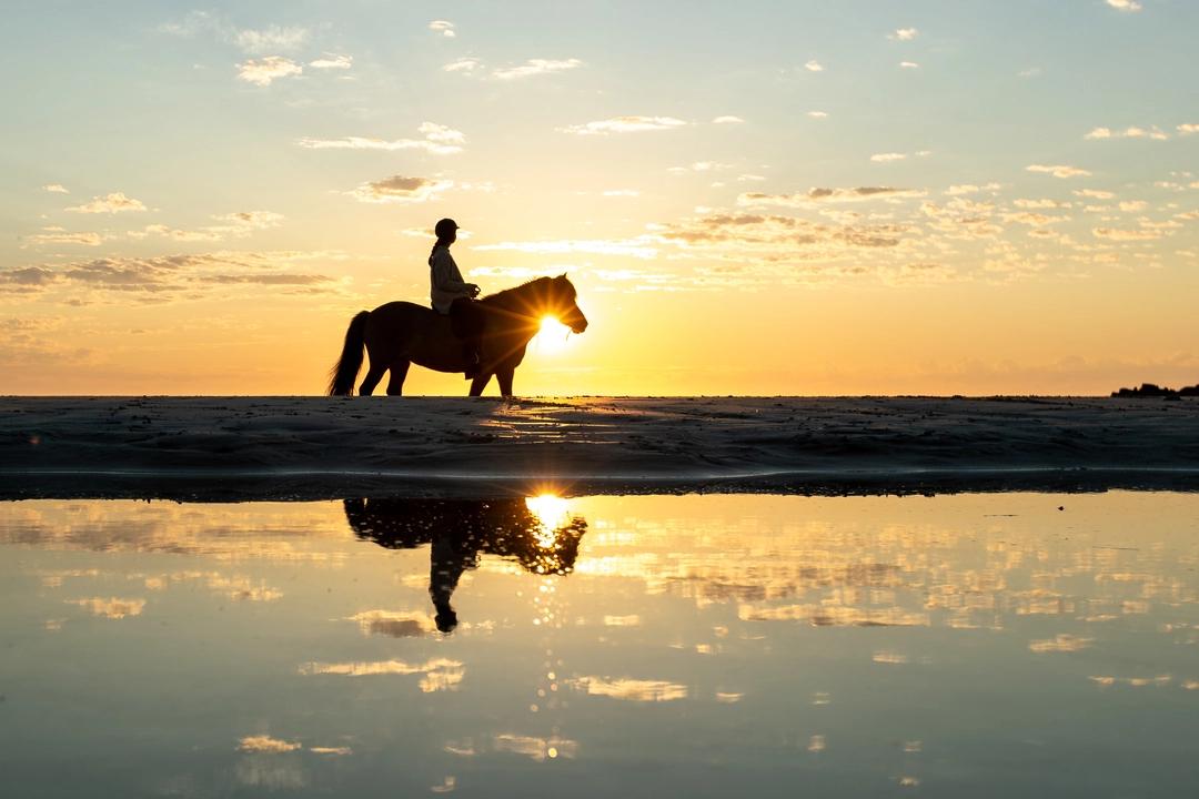 Horseback riding on the beach, under the midnight sun