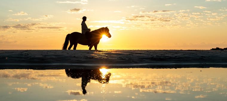 Horseback riding on the beach, under the midnight sun