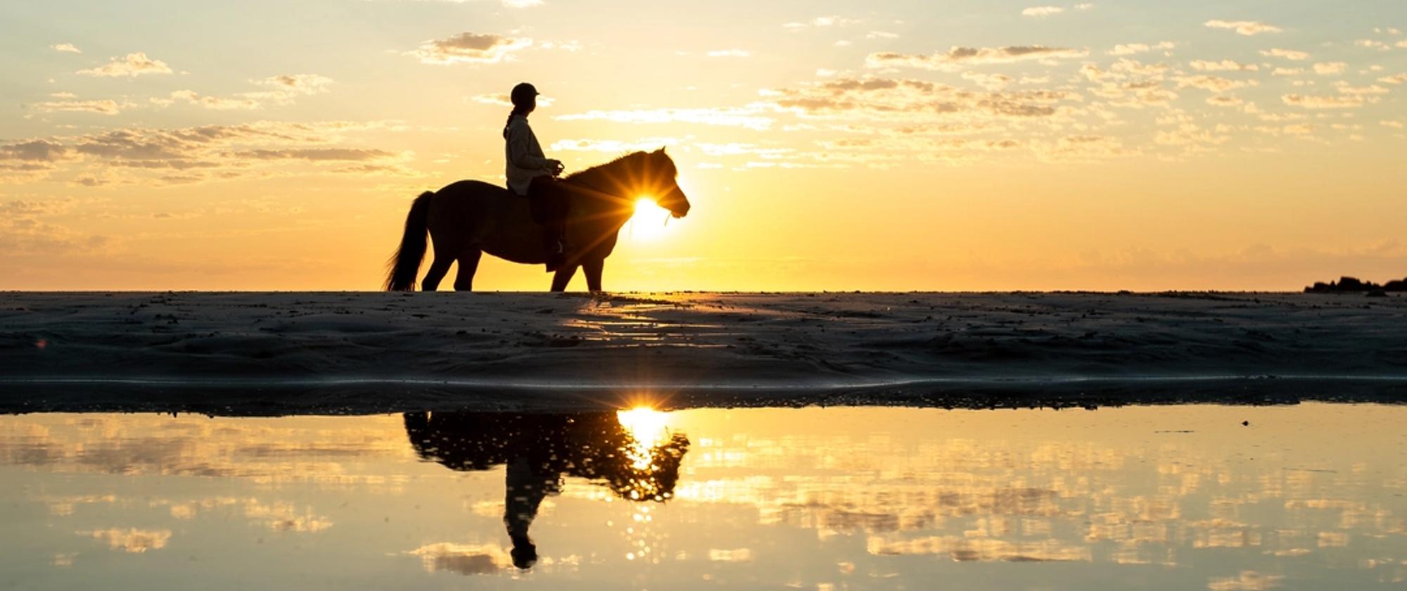 Horseback riding on the beach, under the midnight sun