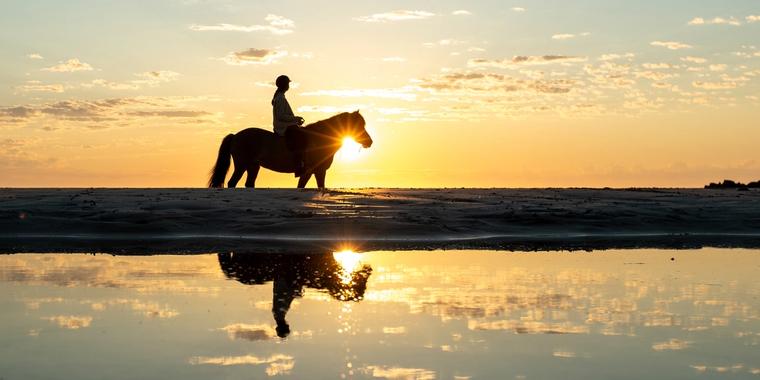 Horseback riding on the beach, under the midnight sun