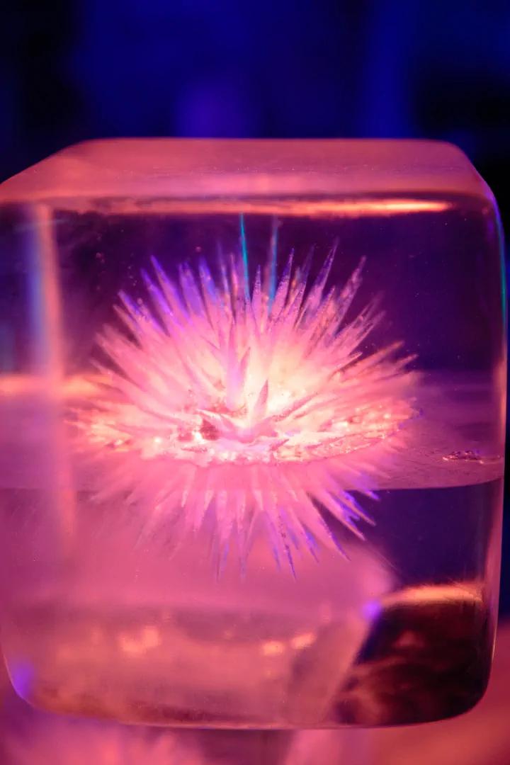 Cool looking ice art