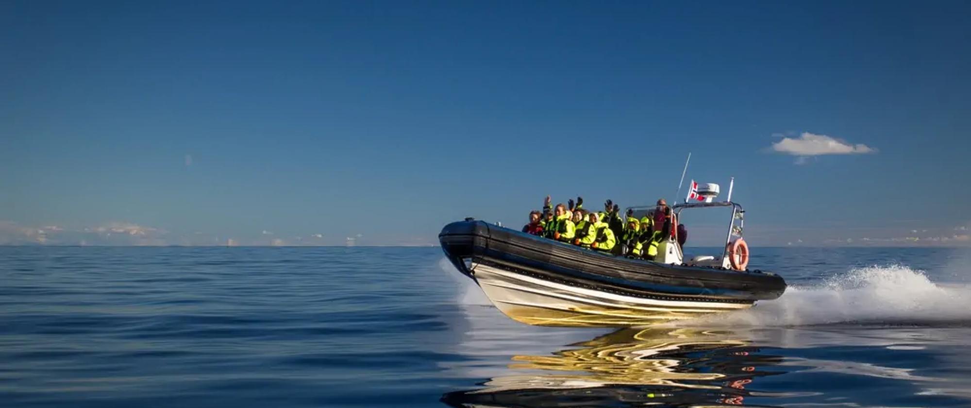 Full speed ahead on the RIB Boat