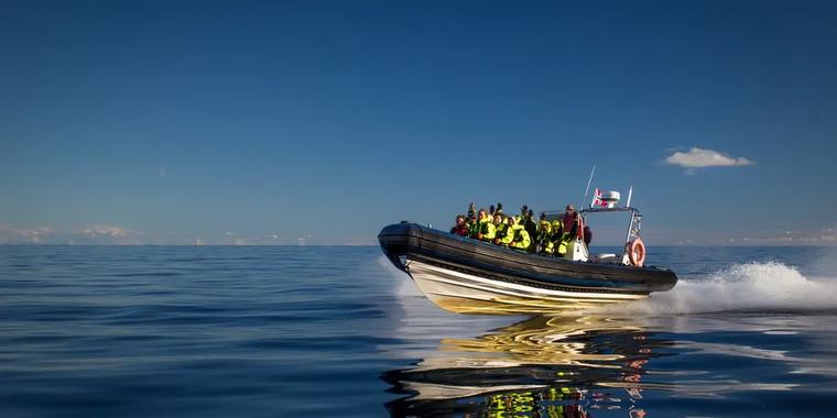 Full speed ahead on the RIB Boat