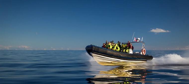 Full speed ahead on the RIB Boat