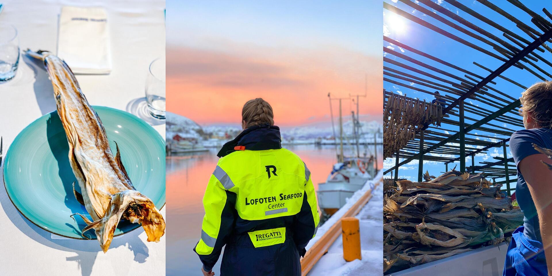 Lofoten Seafood Center