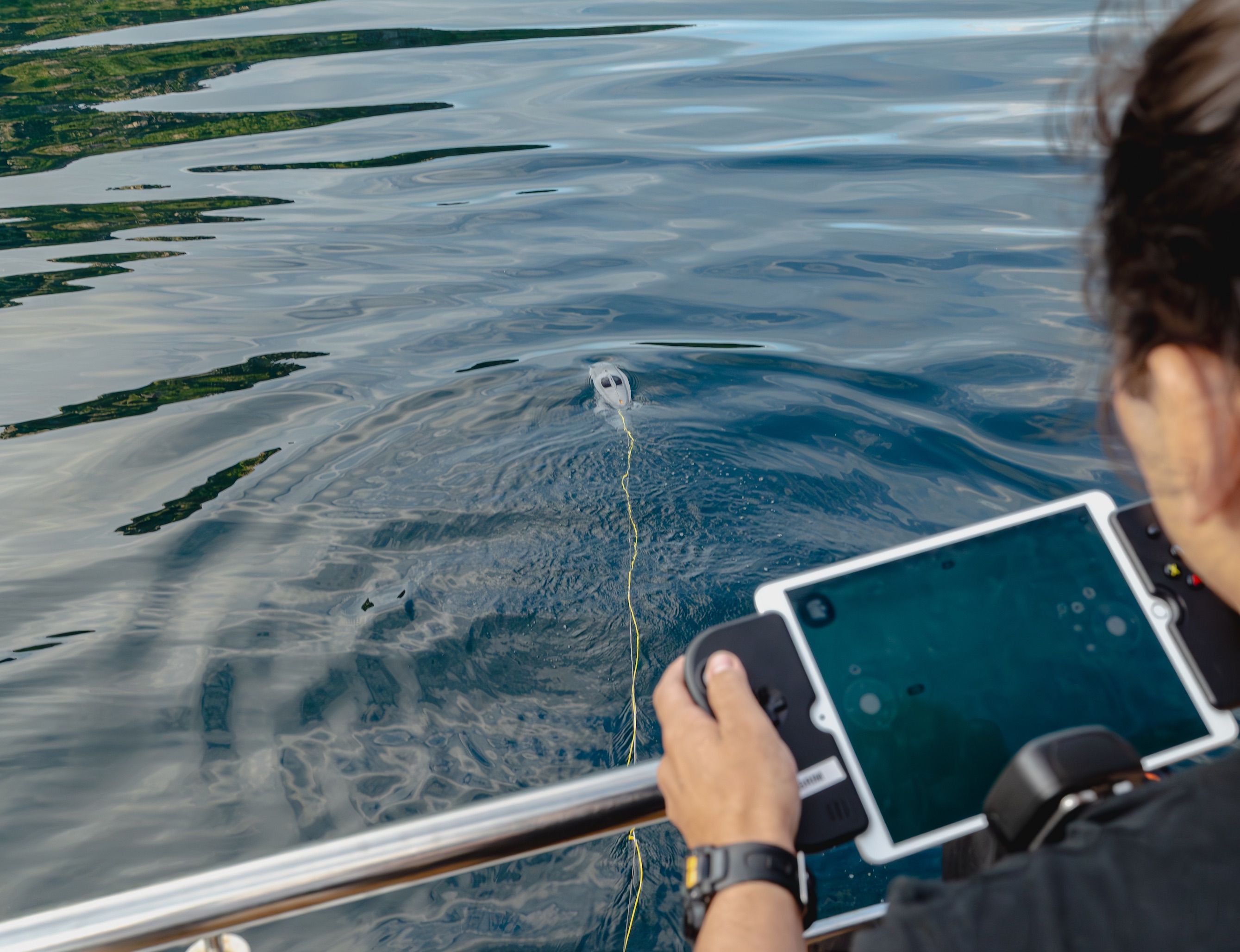 Underwater drone - You might see whales sleeping