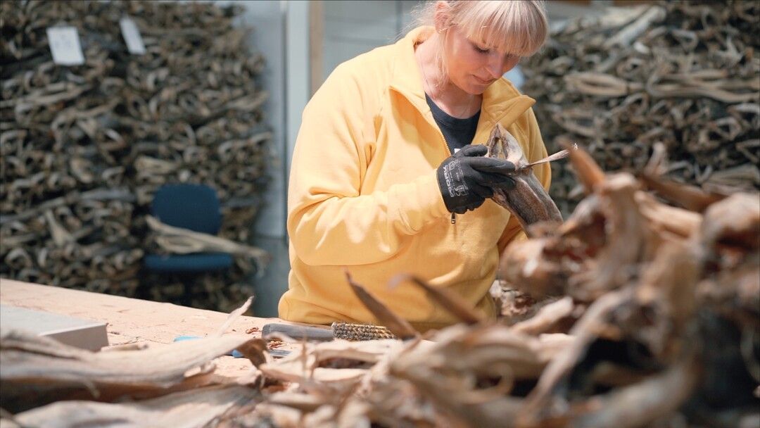 Controlling the quality of the stockfish (vraking)