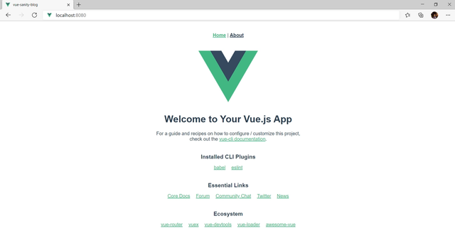 vue installed