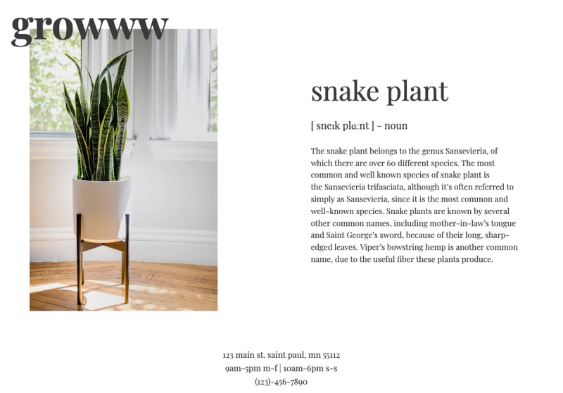 A screen shot of the Snake Plant 'Single Plant' page