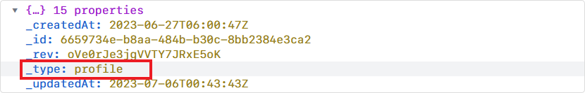 Schema JSON showing profile schema _type