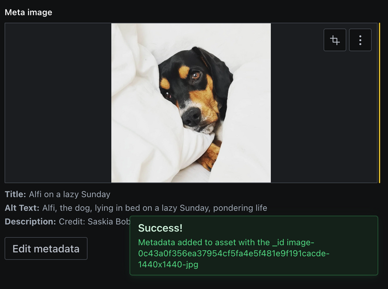 Screenshot of the same image field with a toast message saying "SUCESS!"