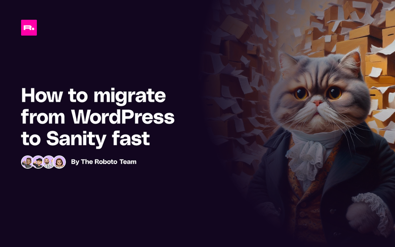 Migrating from Wordpress to Sanity: image of a cat looking with a deathly stare into the void after having to deal with Wordpress