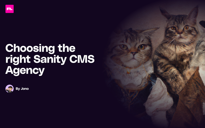 Choosing the right Sanity CMS agency with a couple of cats, one even looks like an owl