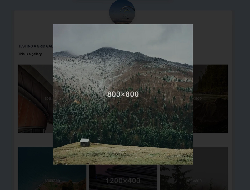 All images are clickable with modal display
