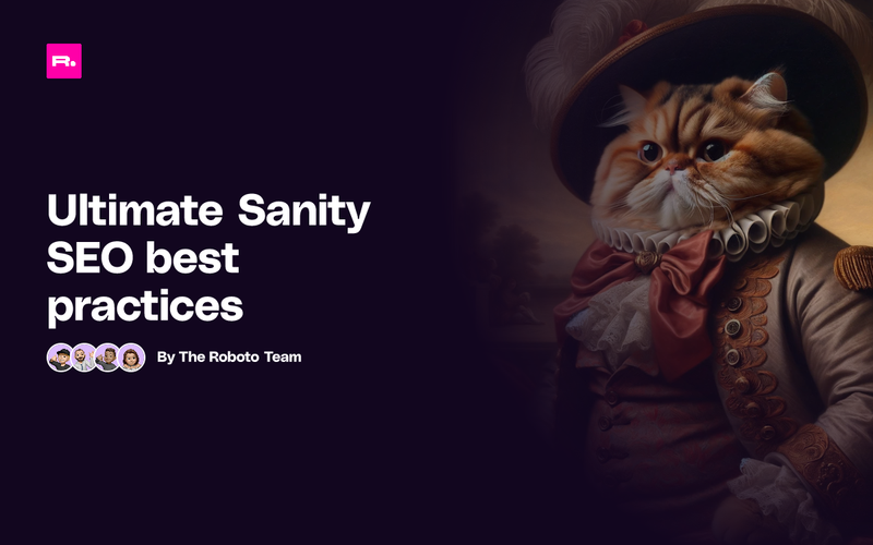 Ultimate Sanity SEO best practices with a portly fellow cat on the right-hand side
