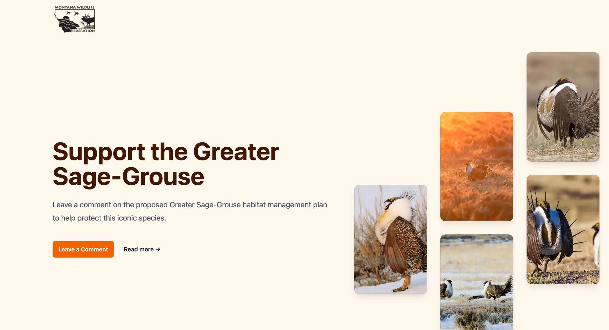 Save the Greater Sage Grouse