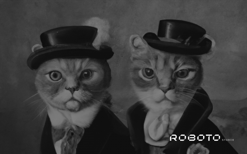 Two cats in formals staring at the camera