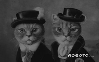 Two cats in formals staring at the camera