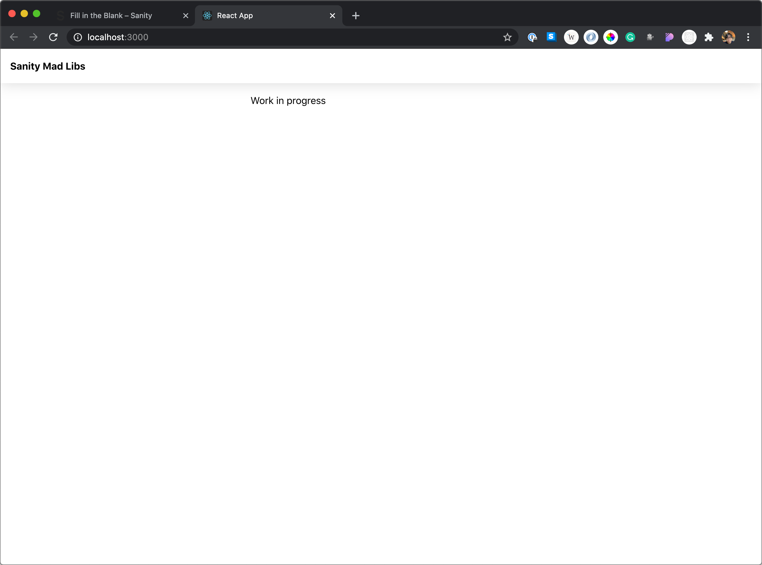 Screenshot of the app on the local server after this step