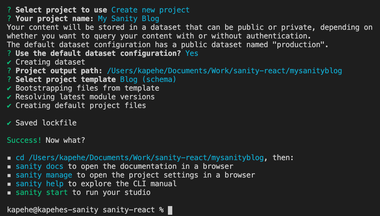 Terminal view of questions after running `sanity init`