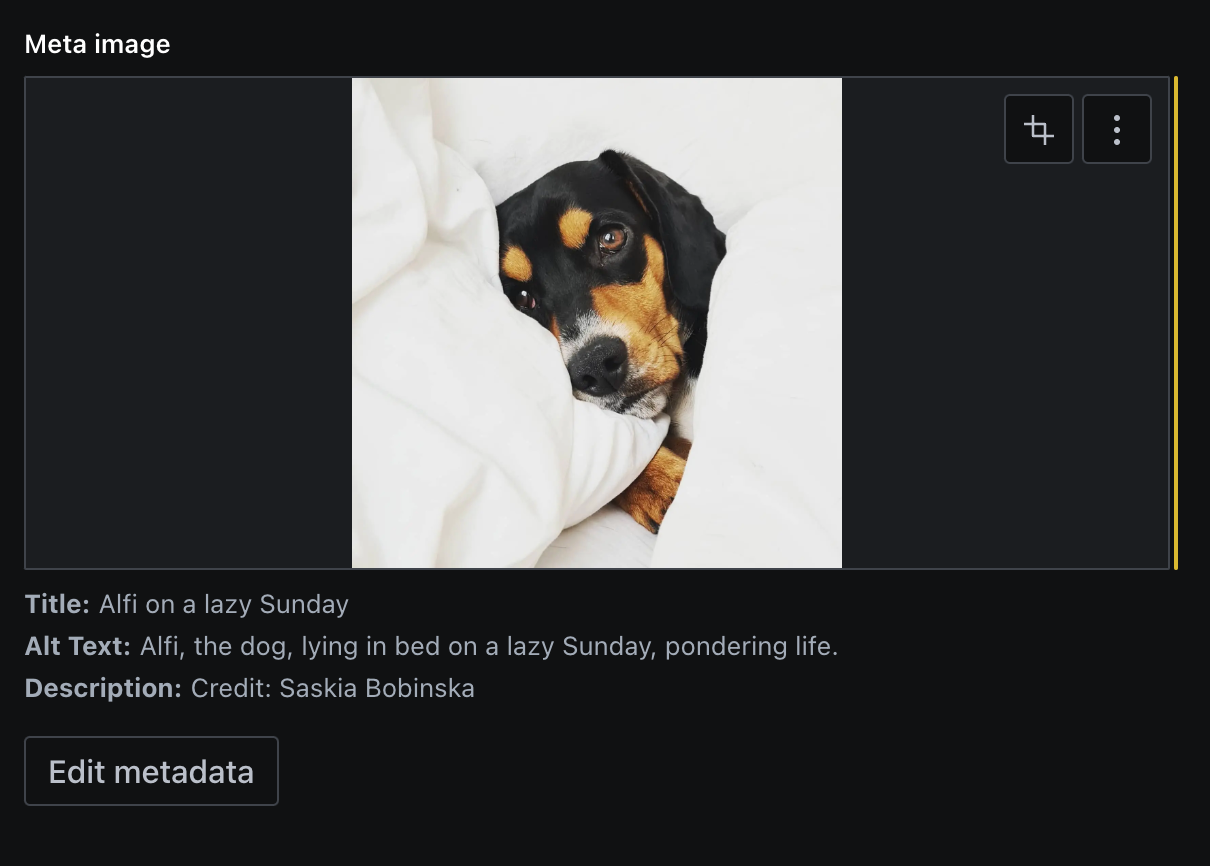 Screenshot of image field with a picture of Alfi, the authors dog, and the loaded image metadata displayed beneath.