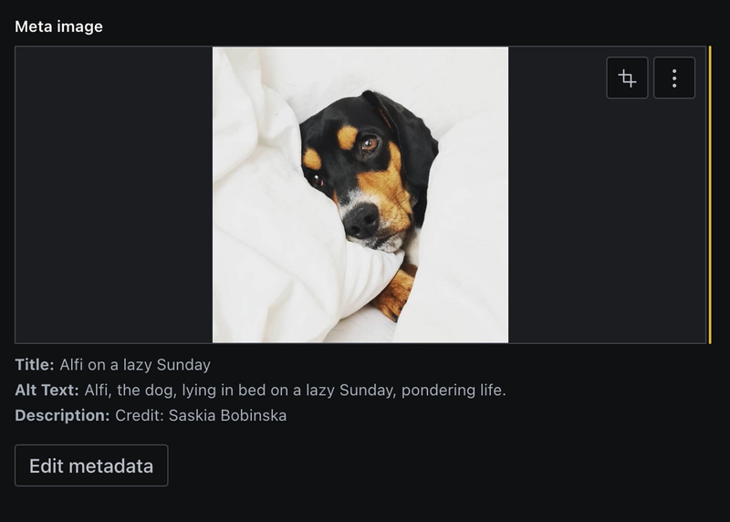 Screenshot of image field with a picture of Alfi, the authors dog, and the loaded image metadata displayed beneath.