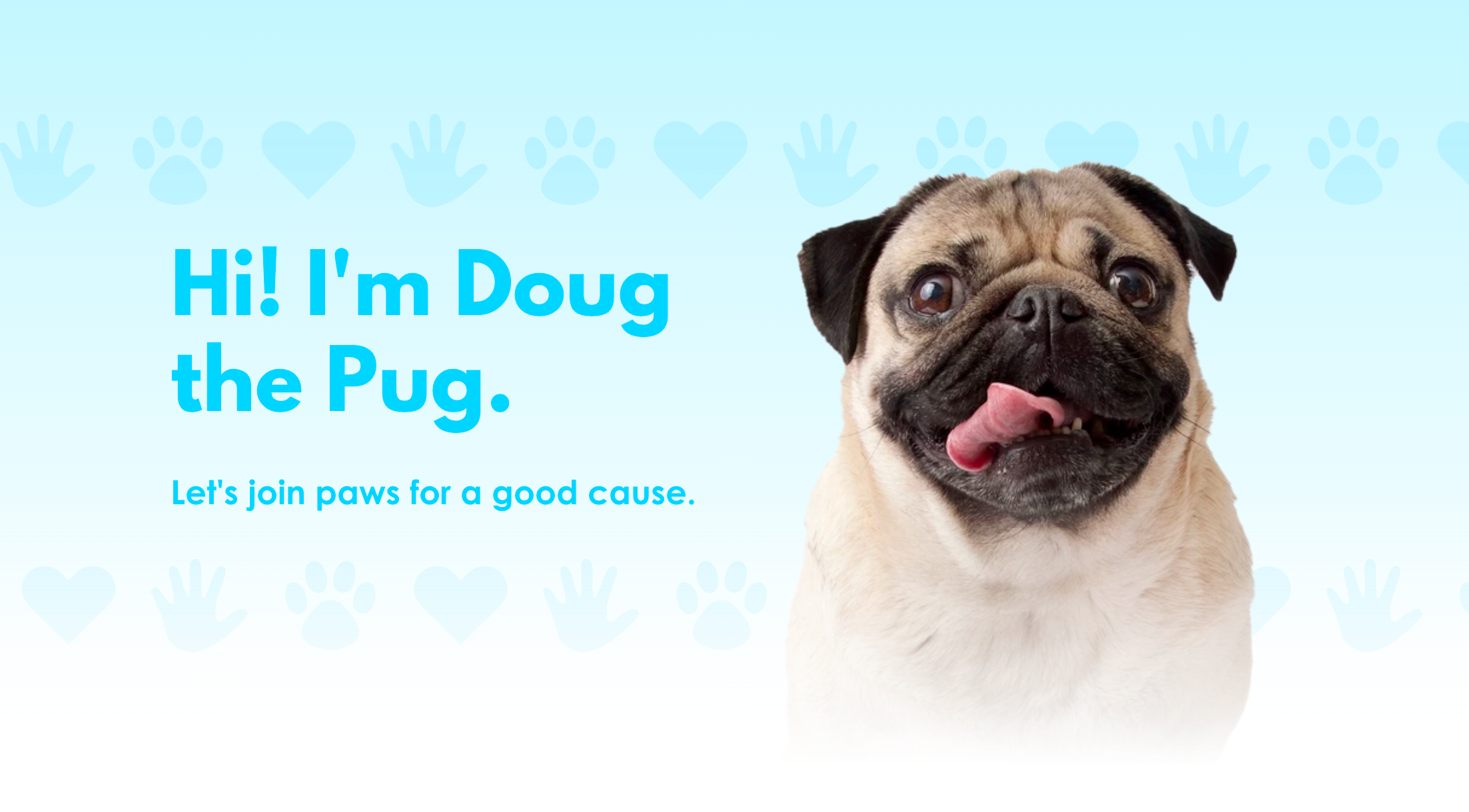 Doug the Pug Foundation