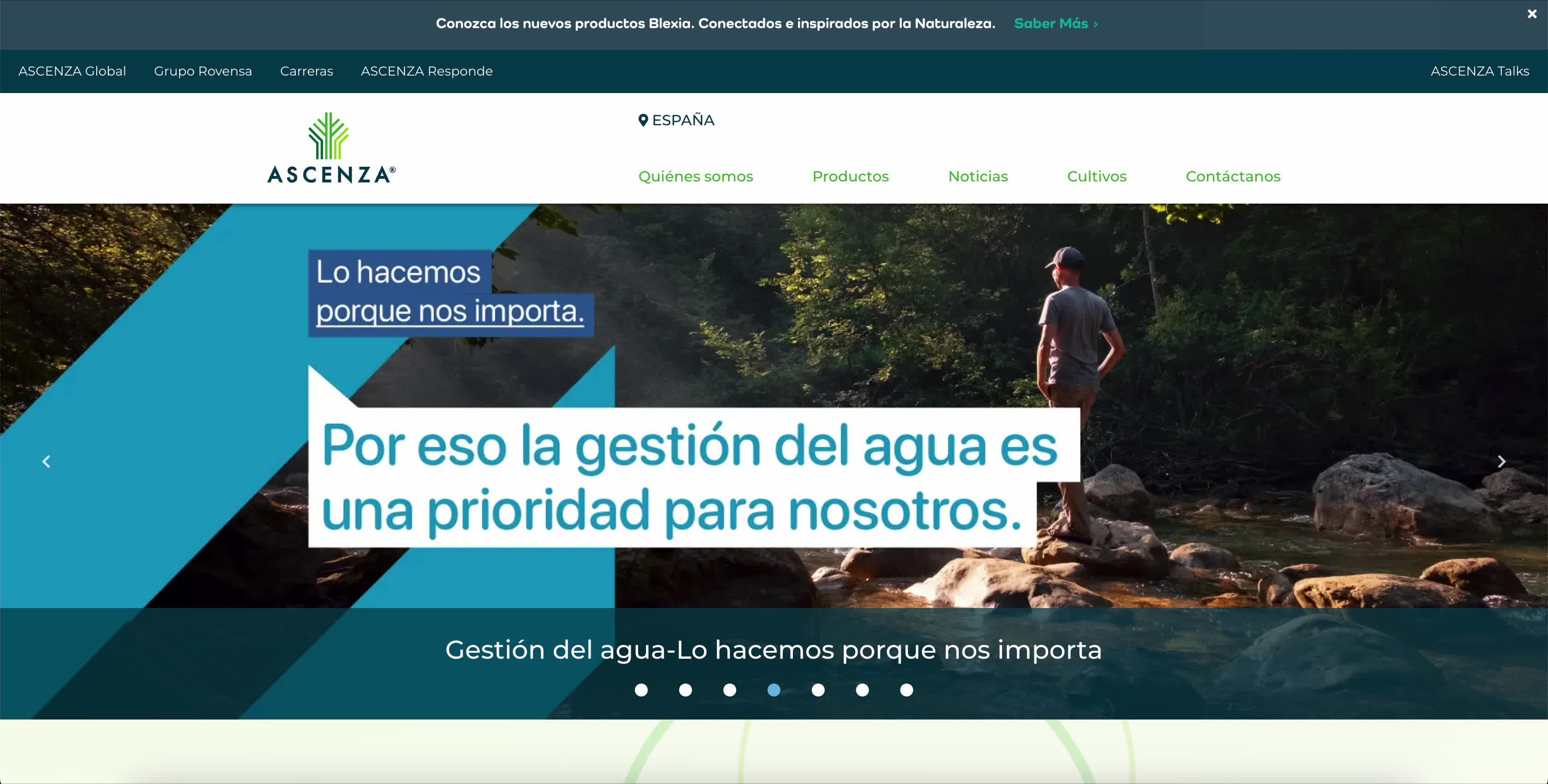 ASCENZA local websites