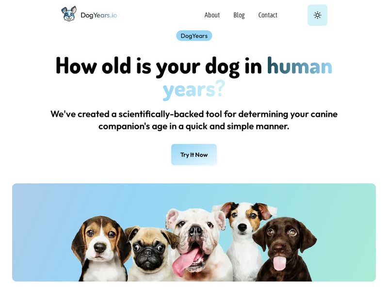DogYearsIO Landing Page
