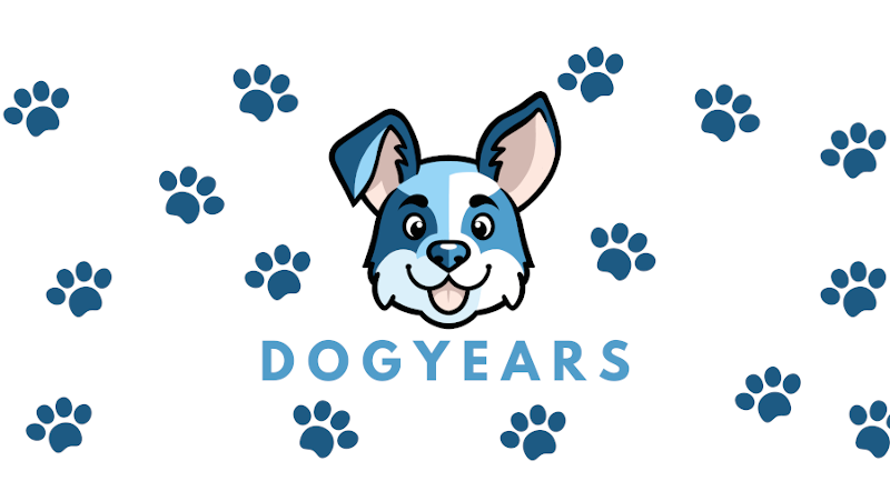 DogYearsIO